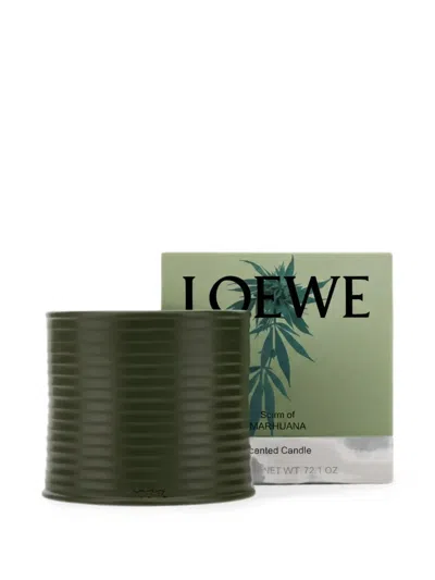 Loewe Ribbed-effect Scented Candle In Green