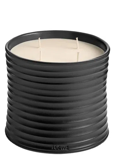 Loewe Roasted Hazelnut Scented Candle In Black