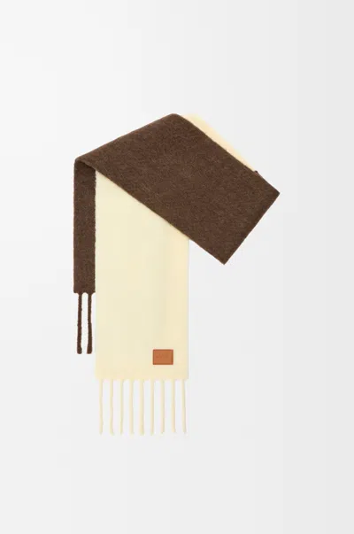 Loewe Scarf In Alpaca And Wool For Woman In Multi