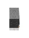 Loewe Scarves In Black