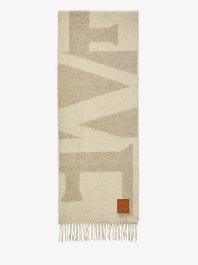 Loewe Cashmere Wool In Gray