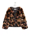 Loewe Leopard-print Shearling Jacket In Multi