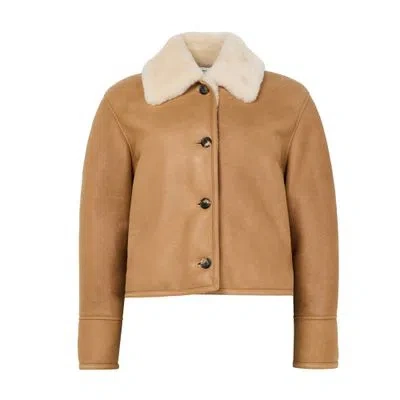 LOEWE SHEARLING JACKET