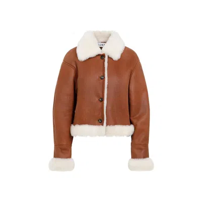 Loewe Shearling Leather Jacket In Brown