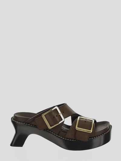 Loewe Shoe In Brown