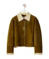 Loewe Short Jacket In Shearling In Brown
