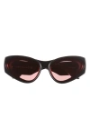 Loewe Signature 52mm Cat Eye Sunglasses