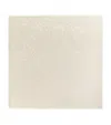 Loewe Scarf In Silk And Wool In White