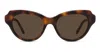 Loewe Womens Havana Gsliessx01 Cat-eye Frame Acetate Sunglasses In Brown