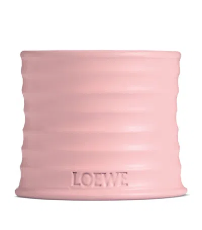 LOEWE LOEWE PERFUMES SMALL IVY SCENTED CANDLE