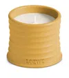 Loewe Wasabi Candle In Multi