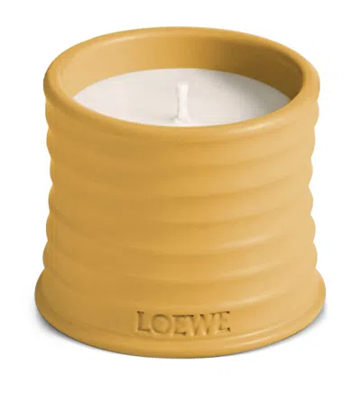 Loewe Small Yellow Wasabi Candle