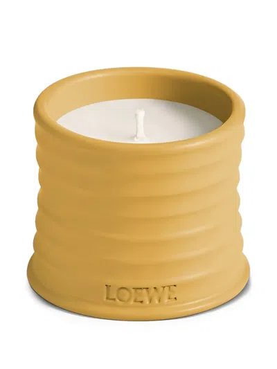 Loewe Small Wasabi Ribbed Logo Candle (170g) In Yellow