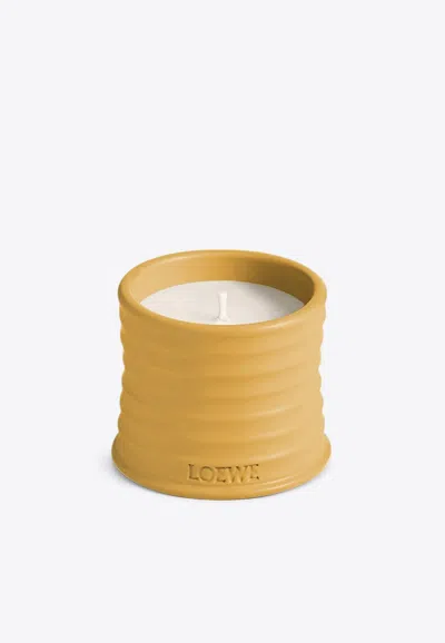 Loewe Small Wasabi Scented Candle In Yellow