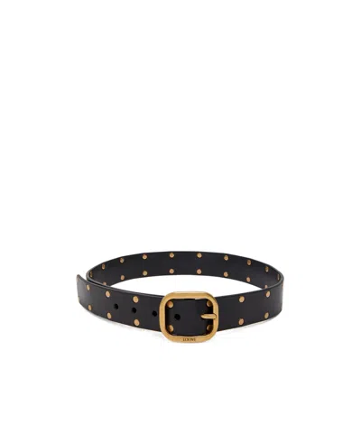 Loewe Studded Leather Belt In Black