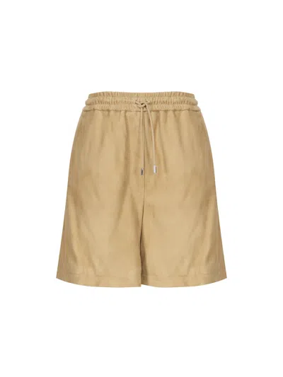Loewe Suede Shorts In Gold