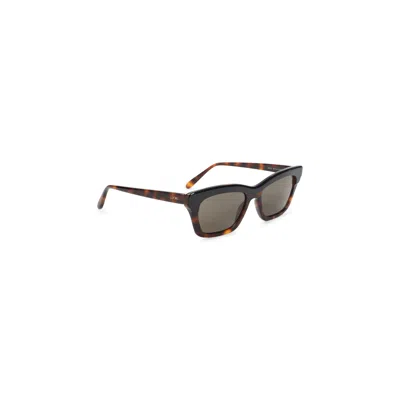 Loewe Havana Brown Sigma Slim Acetate Sunglasses In Pink