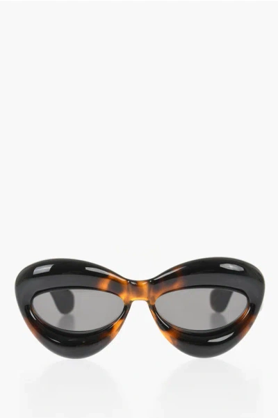 Loewe Inflated Acetate Cat-eye Sunglasses In Brown