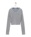 Loewe Sweater In Cotton In Brown