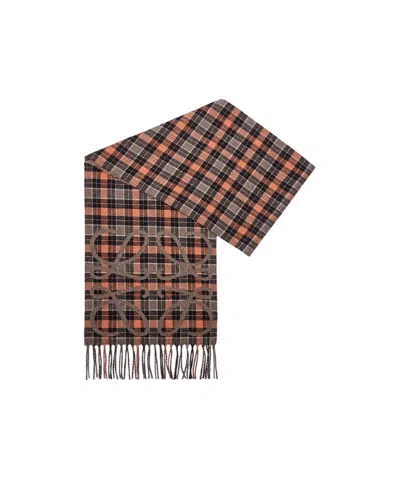 Loewe Tassel Scarf In Multi