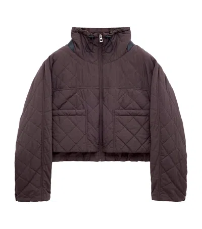 Loewe Padded Quilted Leather-trimmed Shell Jacket In Brown