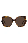Loewe Thin 55mm Geometric Sunglasses In Dark Havana / Brown