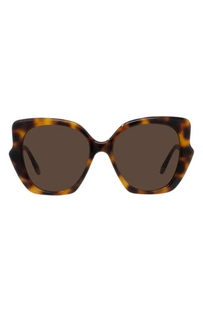 Loewe Thin 55mm Geometric Sunglasses In Dark Havana / Brown