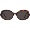Loewe Thin Mini 54mm Oval Sunglasses In Dark Havana