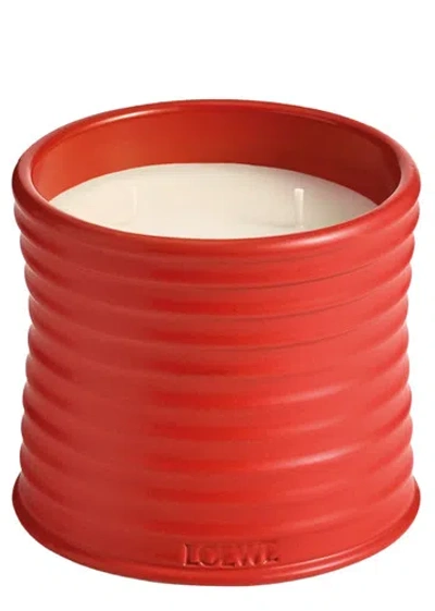 Loewe Tomato Leaves Candle In Black