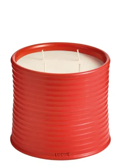 Loewe Tomato Leaves Candle In Red