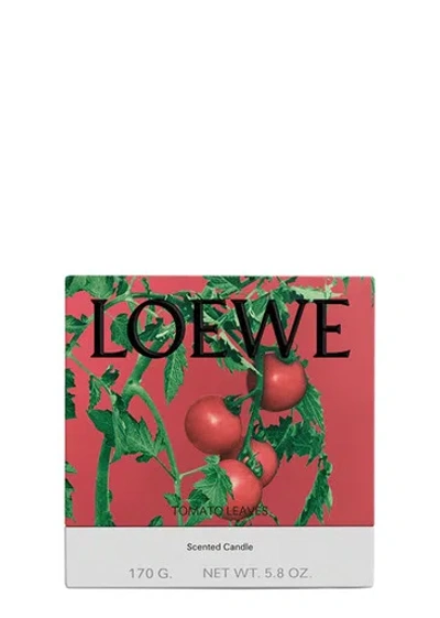 Loewe Tomato Leaves Candle In Pink