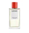 Loewe Tomato Leaves Room Spray