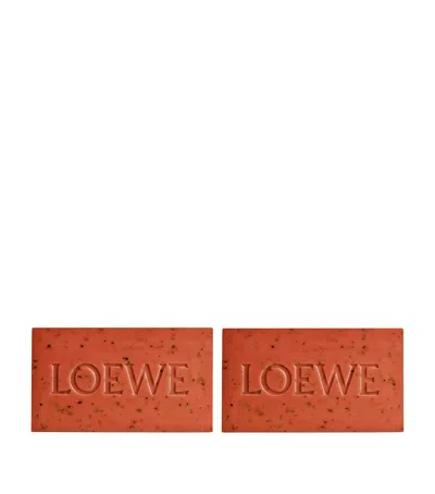 Loewe Tomato Leaves Soap Bar Set In White