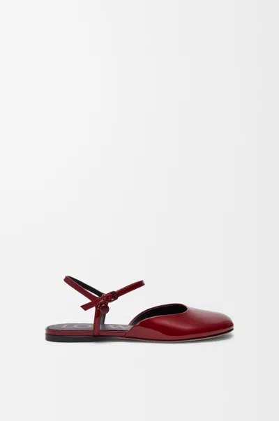 Loewe Leather Ankle-strap Toy Ballet Flats In Burgundy
