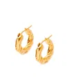 Loewe Trumpet Napapi Twisted Earrings In Yellow