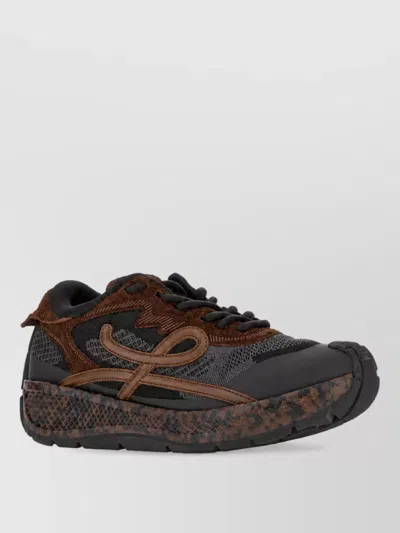 Loewe Two-tone Low-top Sneakers In Brown