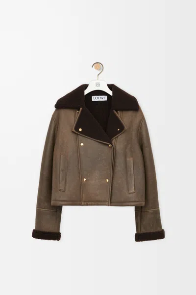 Loewe Lambskin Shearling-collar Aviator Jacket In Brown