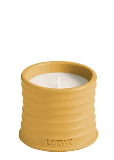 Loewe Wasabi Candle In Orange
