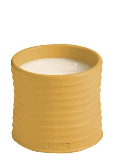 Loewe Wasabi Candle In Orange
