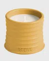 Loewe Wasabi Candle
