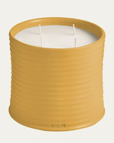 Loewe Wasabi Scented Candle, 2100g In Yellow