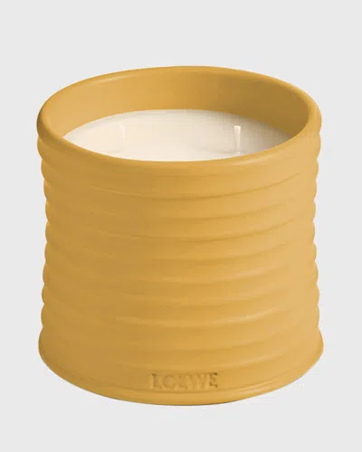Loewe Wasabi Scented Candle, 600g In Yellow