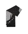 Loewe Whale Wool Scarf In Black
