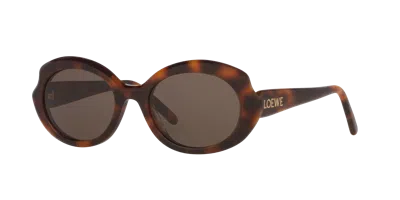 Loewe Woman Sunglass Lw40147i In Brown