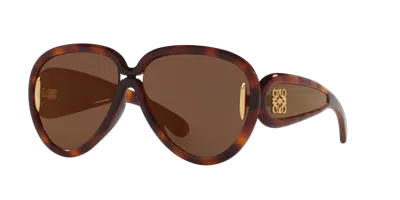 Loewe Woman Sunglass Paulas Ibiza Lw40132i In Brown