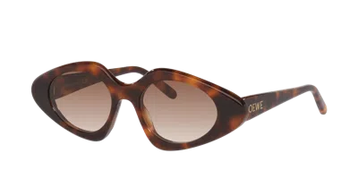 Loewe Woman Sunglass Slim Lw40185i In Brown