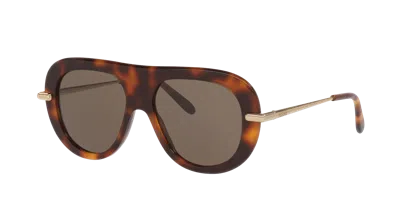 Loewe Woman Sunglass Slim Lw40186i In Brown