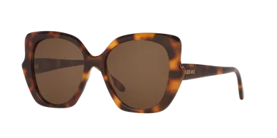 Loewe Woman Sunglass Thin Lw40133i In Brown