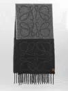 Loewe Anagram Scarf Scarves And Foulards Beige In Gray