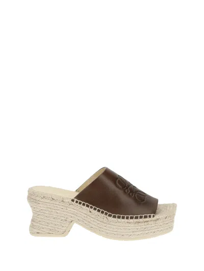 Loewe Women Petal Platform Espadrilles